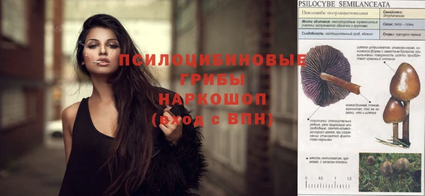 каннабис Аркадак