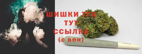 прущие крисы Армянск