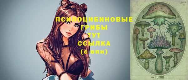 герыч Арсеньев